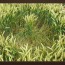 Crop Circle Spiral
