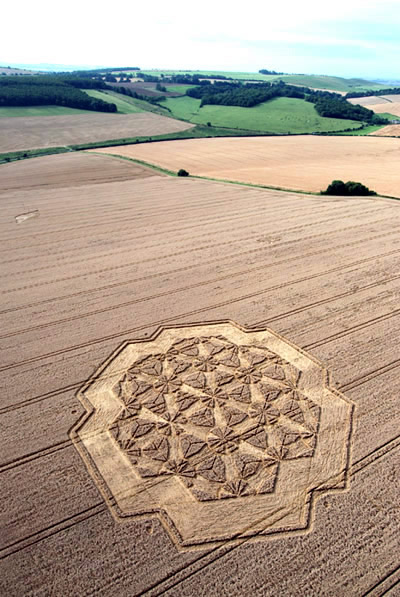 fleur de vie