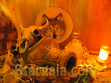 Stargaia.com