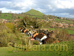 Holy Thorn Glastonbury Tor - www.stargaia.com