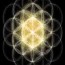 The Template & the Sound of Time The Template & the Sound of Time